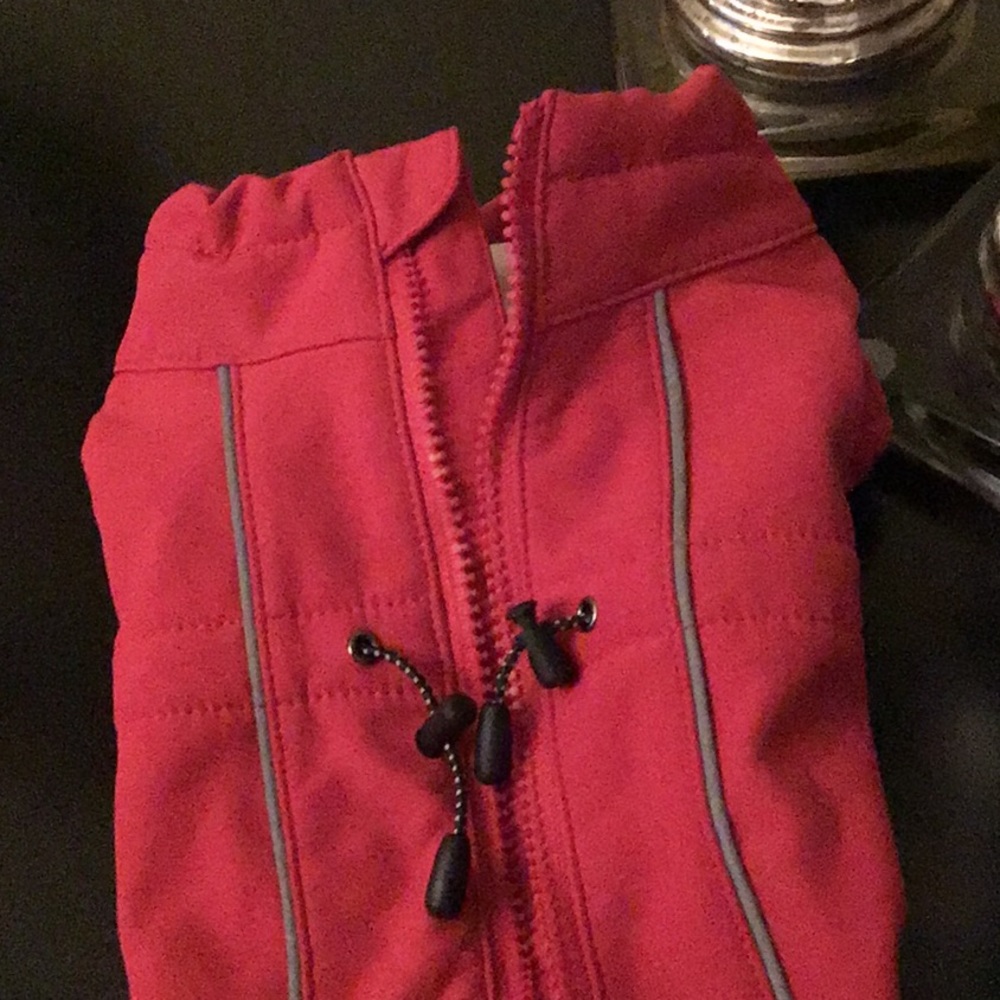 Rain jacket for dog